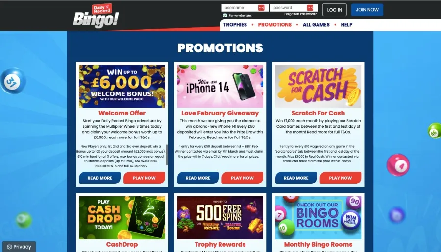 Daily record bingo promotions