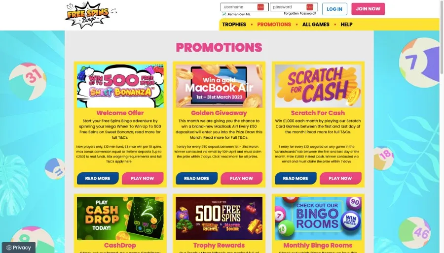 Free spins bingo promo page