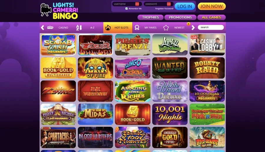 Lights camera bingo games page