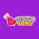 logo image for bingo fling